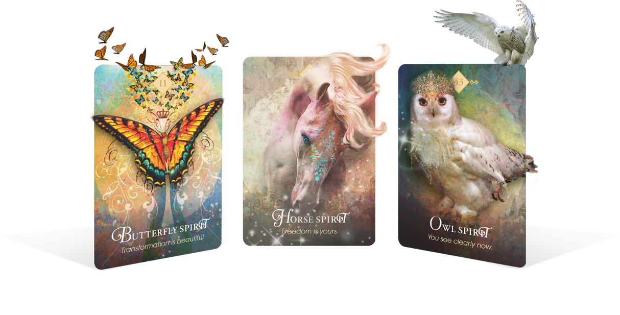 The Spirit Animal Oracle - New Release Inspired By 3 Australia