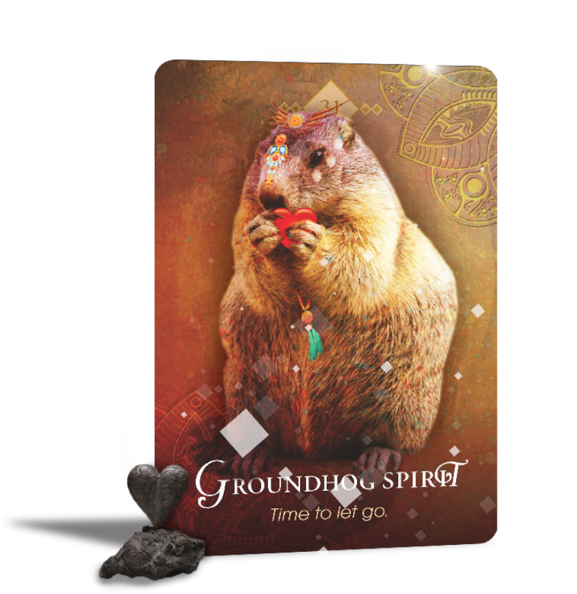 The Spirit Animal Oracle - New Release Inspired By 3 Australia