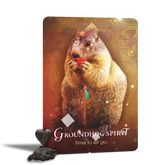 The Spirit Animal Oracle - New Release Inspired By 3 Australia