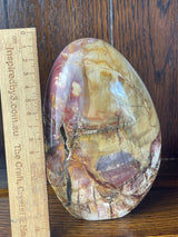 Petrified Wood Freeform 1.6Kilo - Past Life Recall. Inner Peace