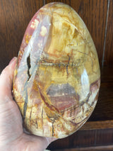 Petrified Wood Freeform 1.6Kilo - Past Life Recall. Inner Peace