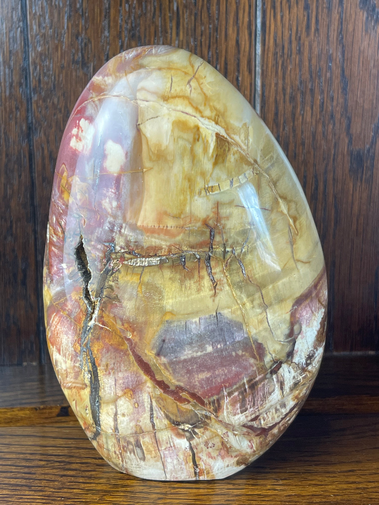 Petrified Wood Freeform 1.6Kilo - Past Life Recall. Inner Peace