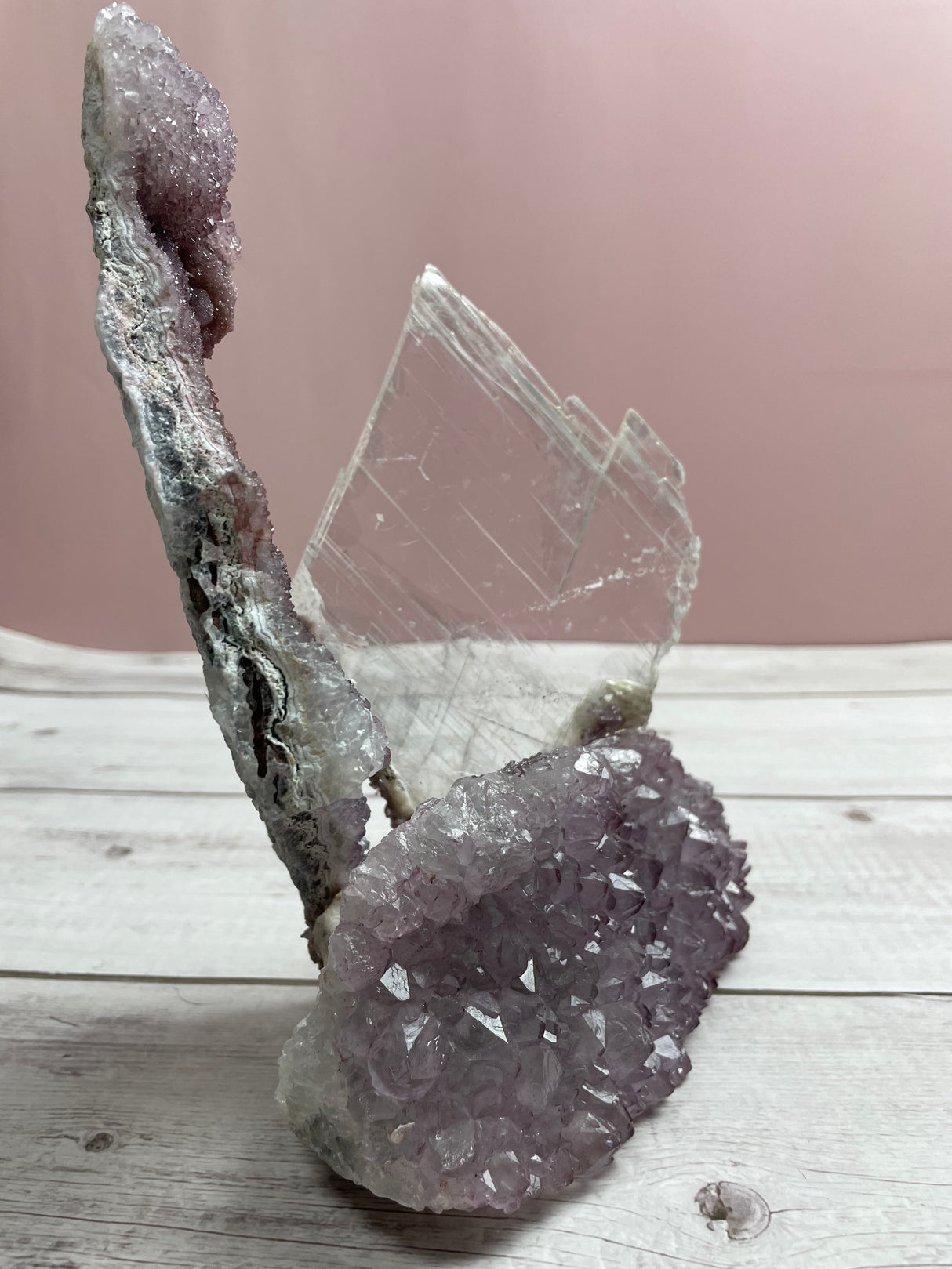 Flower Amethyst w Selenite Angel wing- 1.6kg