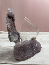 Flower Amethyst w Selenite Angel wing- 1.6kg