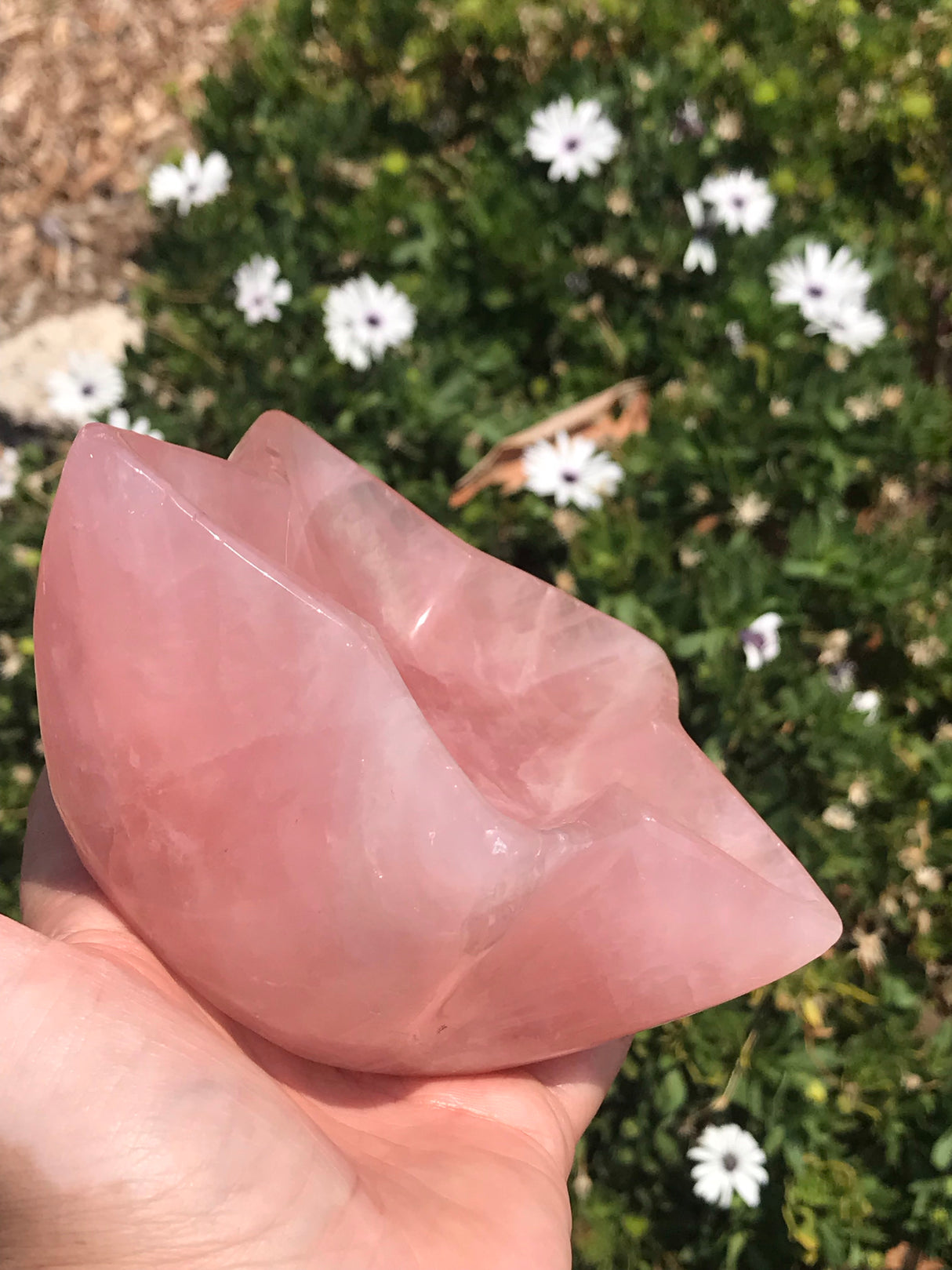 Rose Quartz Star Bowl on Sale Inspired By 3 Australia