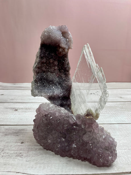 Flower Amethyst w Selenite Angel wing- 1.6kg