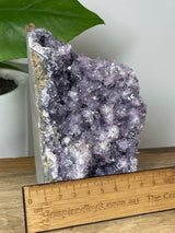 Amethyst Cluster 1025g - Protection. Intuition. Healing.