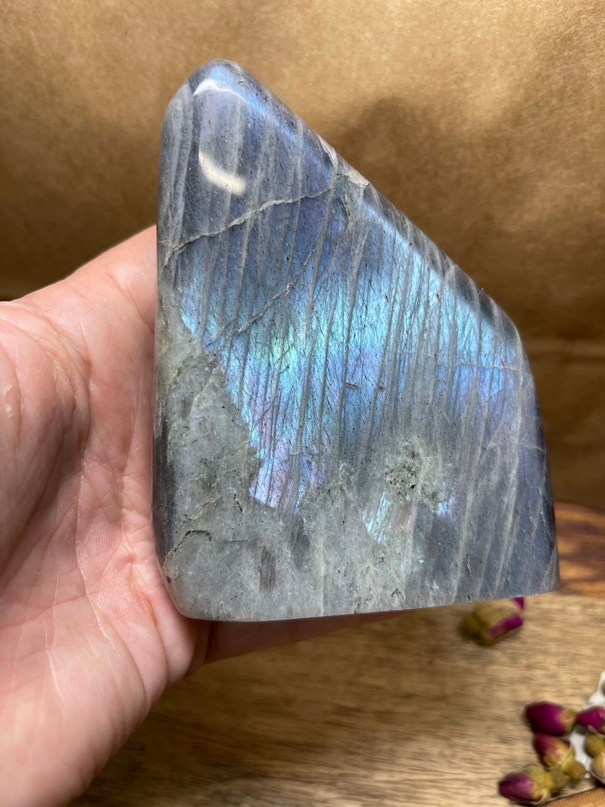 Labradorite Freeform - A Grade 524g - Magic. Protection. Transformation.