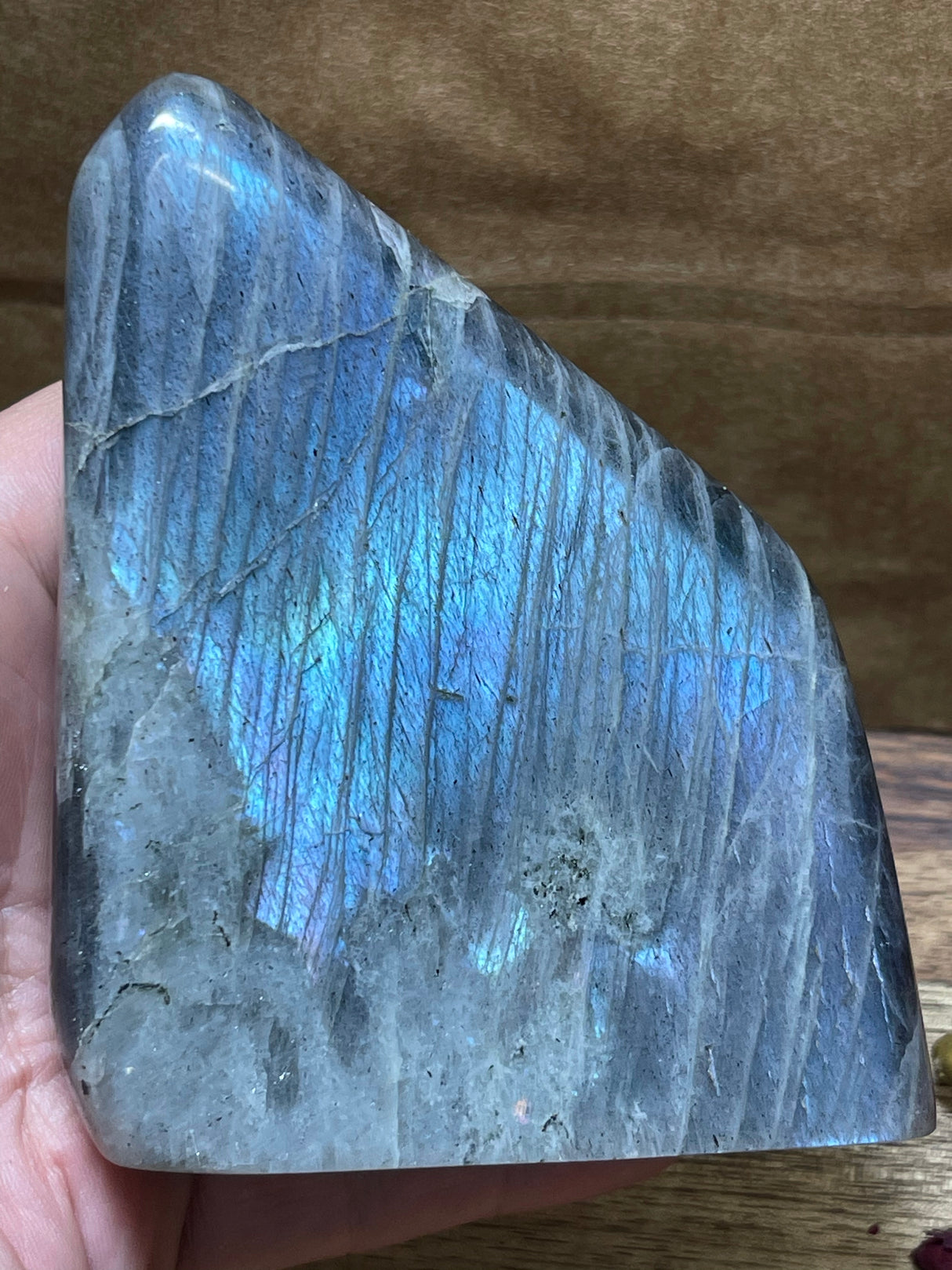 Labradorite Freeform - A Grade 524g - Magic. Protection. Transformation.