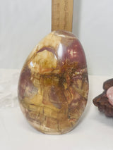 Petrified Wood Freeform 1.6Kilo - Past Life Recall. Inner Peace