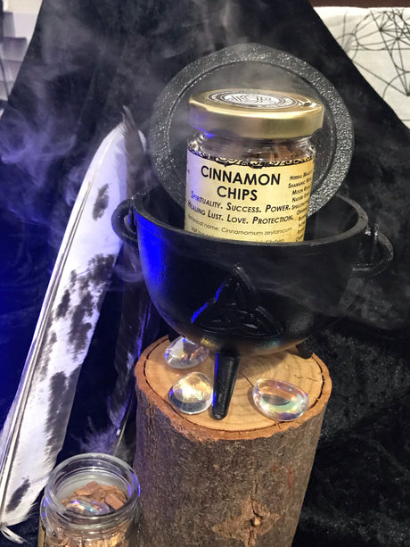 Cinnamon Chips - Spirituality. Success. Powers. Healing. Lust. Love. Protection.