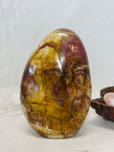 Petrified Wood Freeform 1.6Kilo - Past Life Recall. Inner Peace