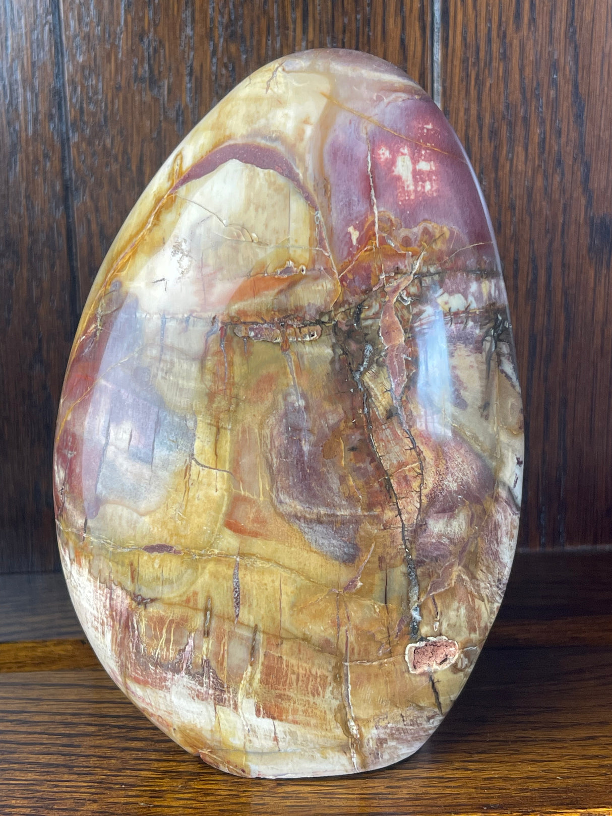 Petrified Wood Freeform 1.6Kilo - Past Life Recall. Inner Peace