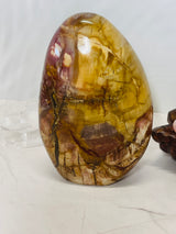 Petrified Wood Freeform 1.6Kilo - Past Life Recall. Inner Peace