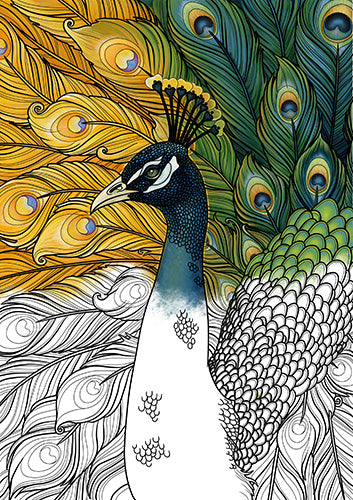 Ravynne Phelan's Spirit Animal Coloring Book