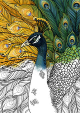 Ravynne Phelan's Spirit Animal Coloring Book