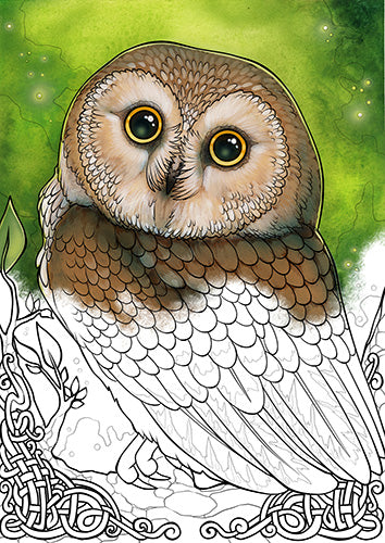 Ravynne Phelan's Spirit Animal Coloring Book